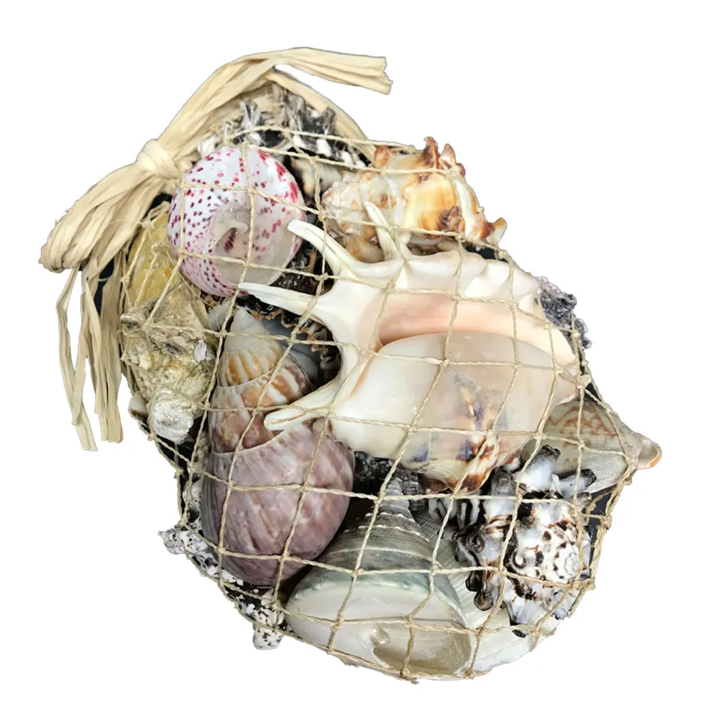 3LB SHELL PACK IN ABACA NET