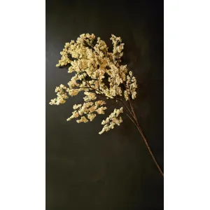 Snowberry Cluster 36in 2
