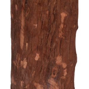 HARDWICKWAY BROWN DECOR 21 (IN) 5