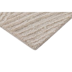 Dune 3