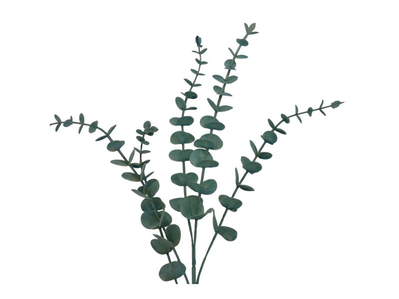 29IN EUCALYPTUS SPRAY X 5 2