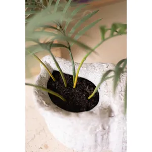 Clay Conch Shell Planter with White Glaze 2