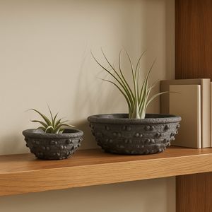DAMIENPARK SET OF 2 BLACK BOWLS 5 (IN) 10