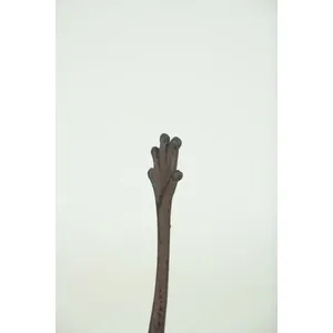 Cast Iron Frog Paper Towel Holder 2