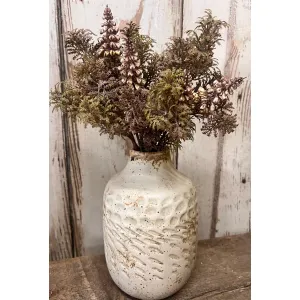 Grape Fern 1