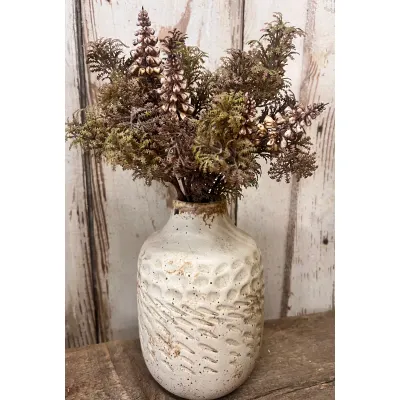 Grape Fern