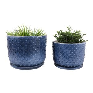 FIONAOAK SET OF 2 BLUE PLANTER 10 (IN) 3