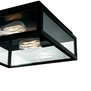 Capture 12'' Wide 2-Light Outdoor Flush Mount - Matte Black 4