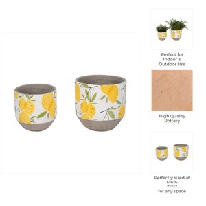 HATCHERGATE SET OF 2 YELLOW PLANTER 7 (IN) 8