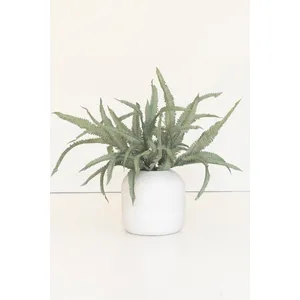 Botanica #9076 2
