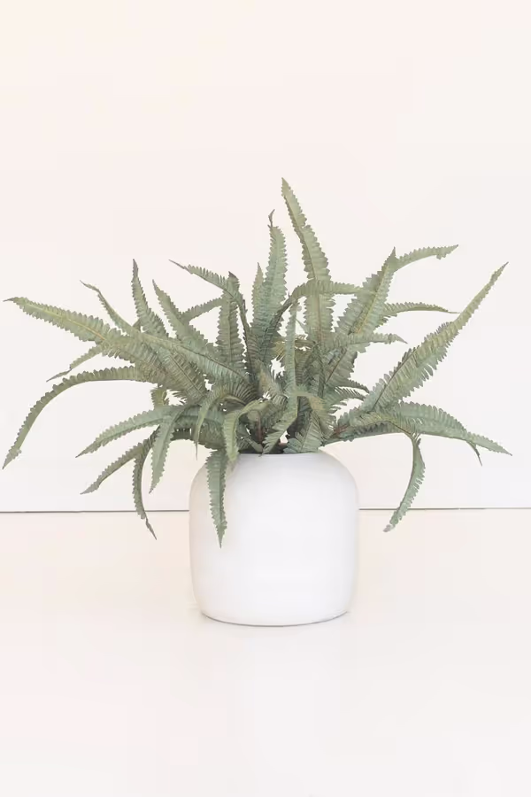 Botanica #9076
