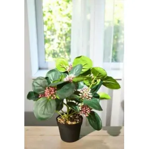 Blushing Grove Pot 13in 2
