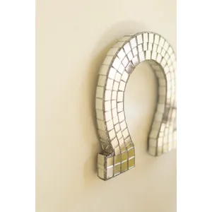 Disco Mirror Horseshoe 4