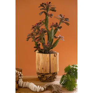 Recycled Fir Wood Vessel on a Mulberry Root Base 2
