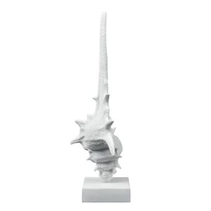 Tigertail Shell - Textured White 3