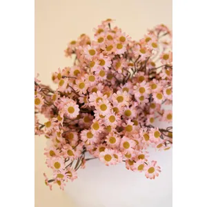 Faux Chamomile Bundle / Blush 3