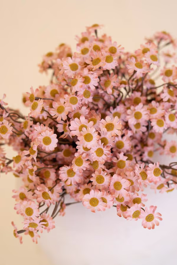 Faux Chamomile Bundle / Blush