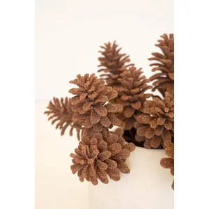 Botanica #9069 4