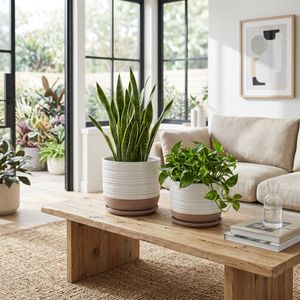 FIONAOAK SET OF 2 WHITE PLANTER 10 (IN) 2