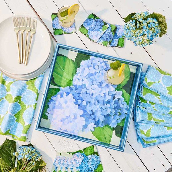 Hydrangea