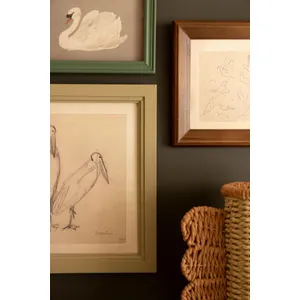 Set of 3 Framed Bird Illustrations Under Glass 2