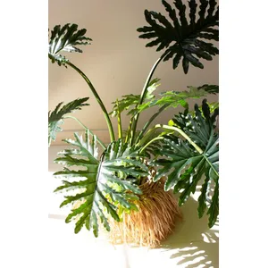 Artificial Philodendron in a Black Plastic Pot 3