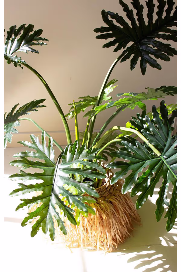 Artificial Philodendron in a Black Plastic Pot