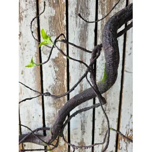 Jungle Vine 62in 2
