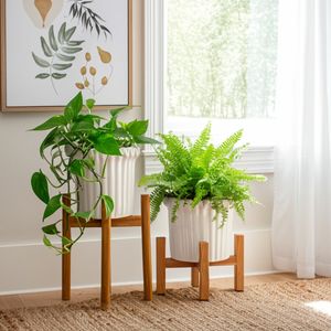 WALTONSTONE SET OF 2 IVORY PLANTER 8 (IN) 11