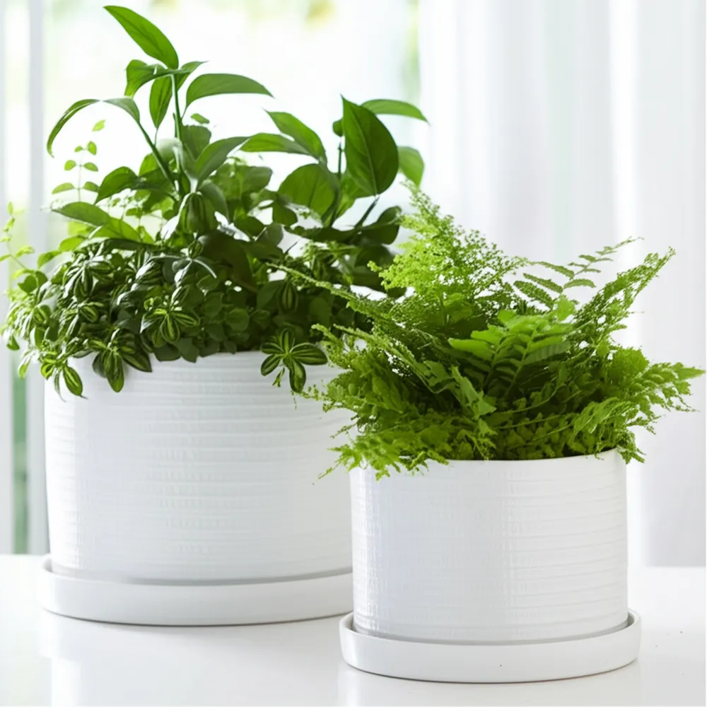 REEDBURN SET OF 2 WHITE PLANTER 11 (IN)