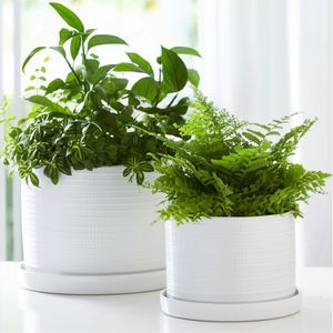 REEDBURN SET OF 2 WHITE PLANTER 11 (IN) 11