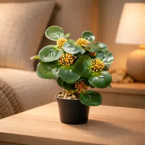 Coral Dawn Pot 13in 1