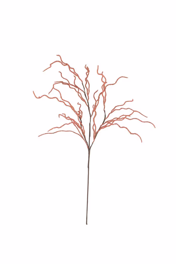 botanica #9008