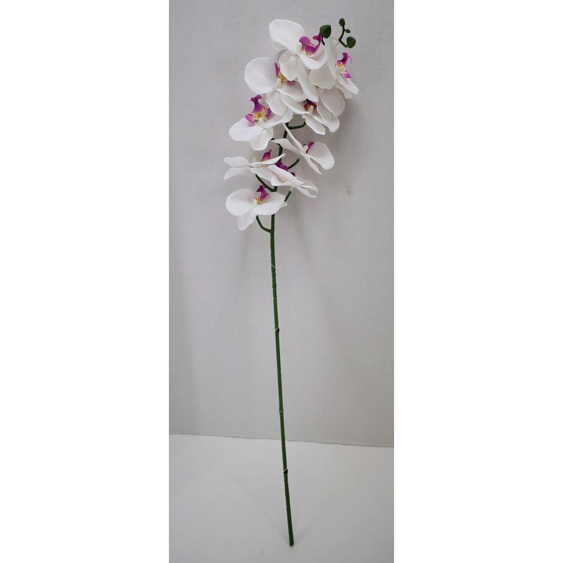 30" Satin Phalaenopsis Orchid Stem, White