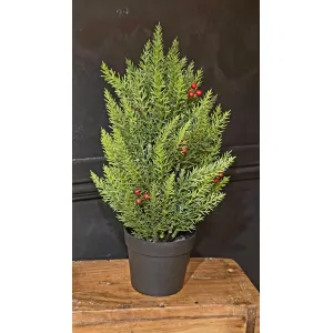Large Evergreen Berry Pot 14in 2