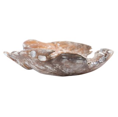 Charbin Bowl - White