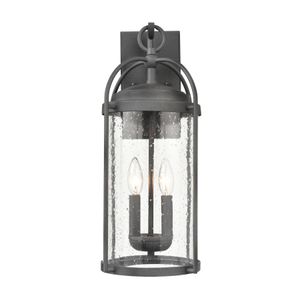 Catalonia 19'' High 2-Light Outdoor Sconce - Distressed Zinc 1