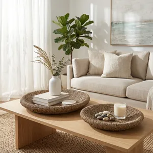HARKENHAVEN SET OF 2 TAN TRAY 3 (IN) 10