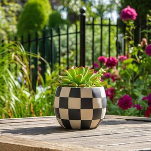 PAXTONSHAW BLACK PLANTER 7 (IN) 11
