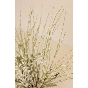 Botanica #3366 3