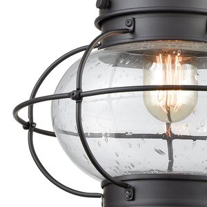 Onion 10'' Wide 1-Light Outdoor Pendant - Oil Rubbed Bronze 2