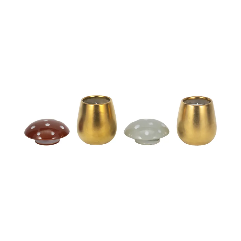 LINDENPARK SET OF 2 FIG&APRICOT CANDLE 5 (IN)