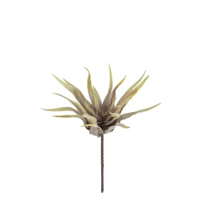 Botanica #2849 2