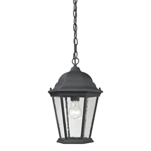 Temple Hill 10'' Wide 1-Light Outdoor Pendant - Matte Textured Black 1