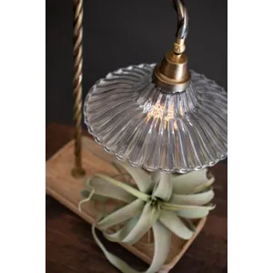 Gooseneck Table Lamp with Wooden Tray Base and Glass Shade 4