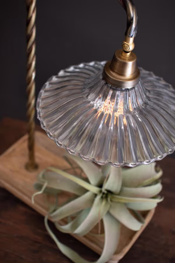 Gooseneck Table Lamp with Wooden Tray Base and Glass Shade