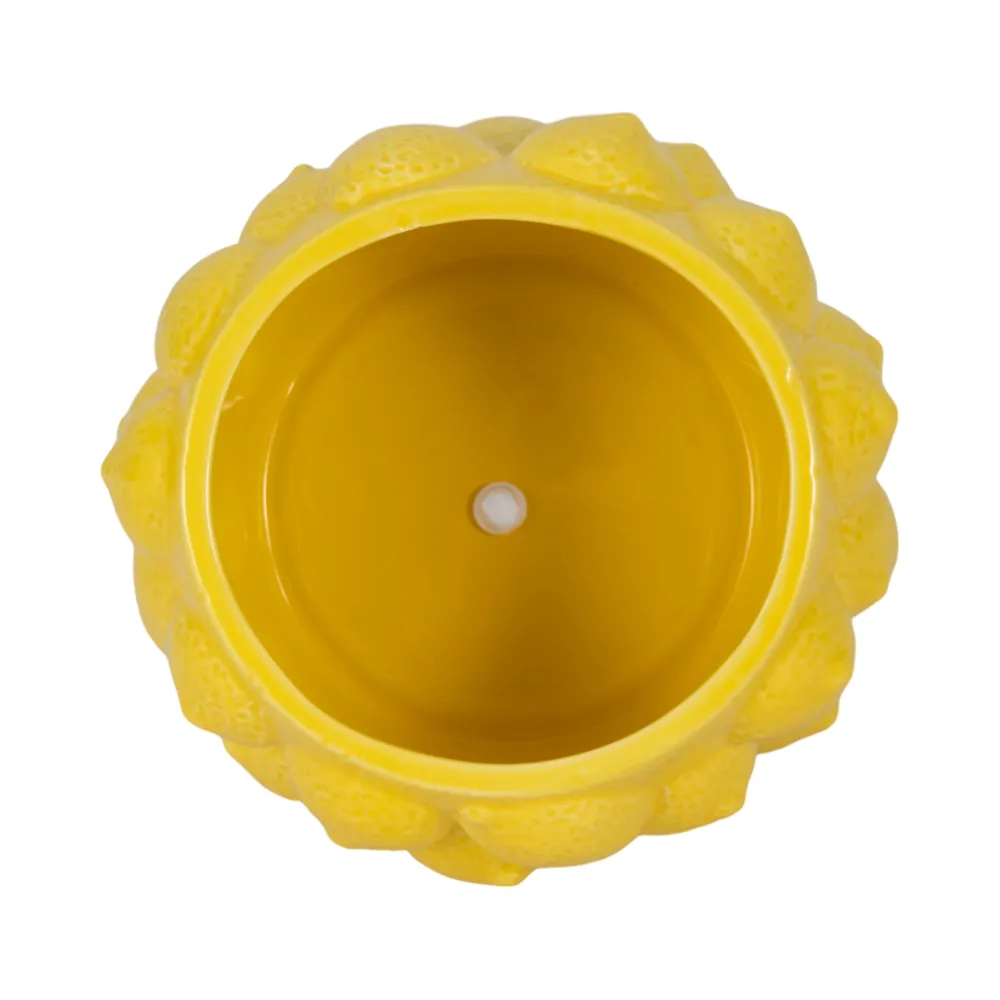 CALWIND YELLOW PLANTER 5 (IN)