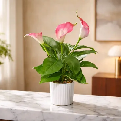 Pink Calla Lilly Pot 16in