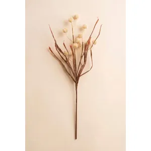 Botanica #2892 3