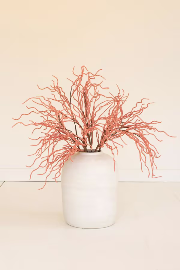 botanica #9008